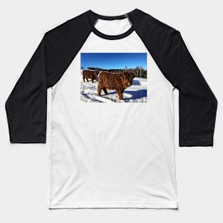 Scottish Highland Cattle Calves 1696 Baseball T-Shirt